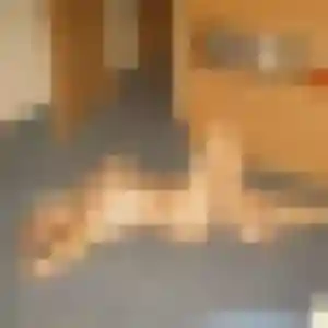 Laure, femme de 42 ans cherche rencontre adulte à Saint-Martin-la-Pallu