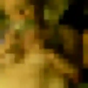 Sixtine, 44 ans, cherche un rencontre adulte à Saint-Médard-en-Jalles