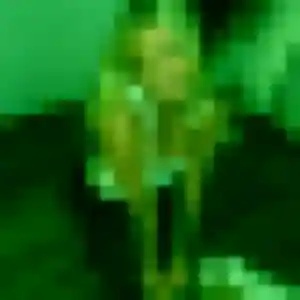 Martine (33 ans) à Saint-Pierre-d'Irube cherche un rencontre adulte aujourd'hui