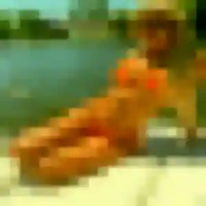 Photo privée de Jacqueline, 28 ans à Segré-en-Anjou Bleu - plan discret