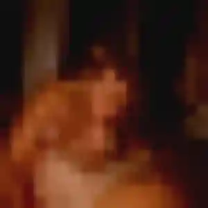 Photo sexy de Hortense, 19 ans à Serris - rencontre coquine