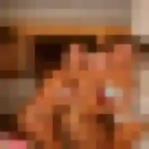 Touria (43 ans) à Trégunc cherche un rencontre adulte aujourd'hui