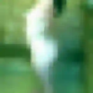 Profil de Estelle à Vallons-de-l'Erdre (34 ans) - rencontre adulte discret