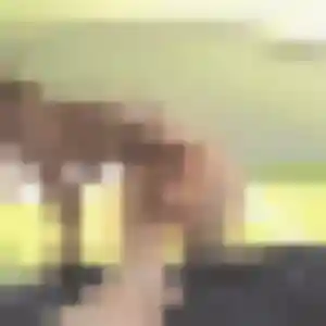Photo de Albertine à Vandœuvre-lès-Nancy (40 ans) - rencontre adulte anonyme