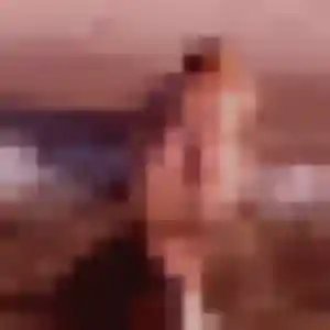 rencontre adulte à Villerest : photo de Solange, 34 ans - sans engagement