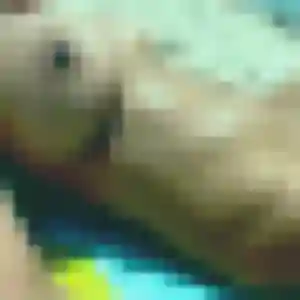 Photo sexy de Nina, 29 ans à Vire Normandie - rencontre coquine