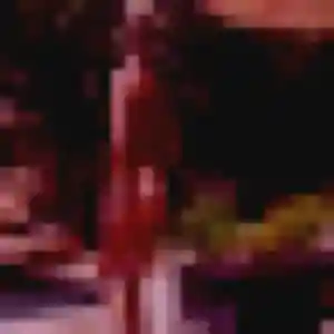 Photo perso de Odile, 42 ans à Viroflay - plan discret