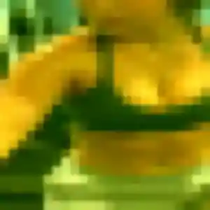 Photo exclusive de Solange, 32 ans à Vizille - rencontre coquine