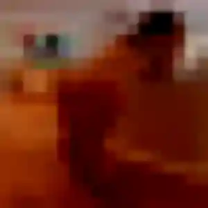 Quitterie, 32 ans, disponible à Wambrechies pour un rencontre adulte