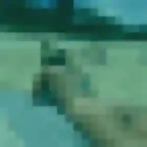 Photo privée de Ursula, 31 ans à Wervicq-Sud - rencontre coquine